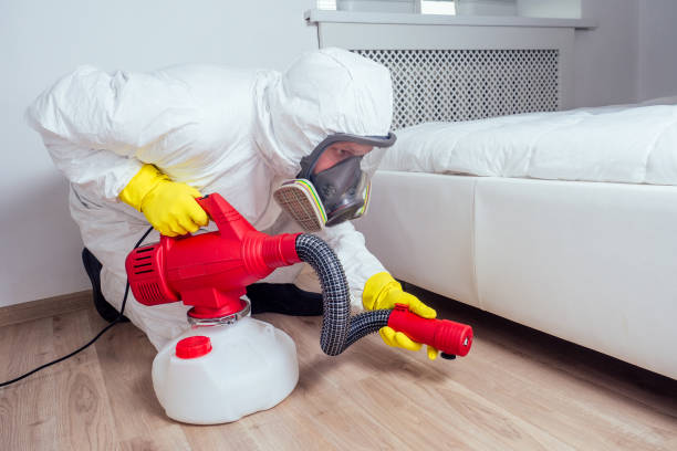 Best Wasp Removal Services  in Temperance, MI