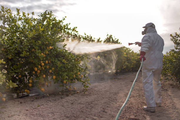 Best Mosquito Control Services  in Temperance, MI