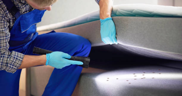 Best Flea Control Services  in Temperance, MI