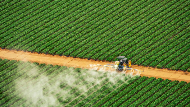 Best Best Pest Control Companies  in Temperance, MI