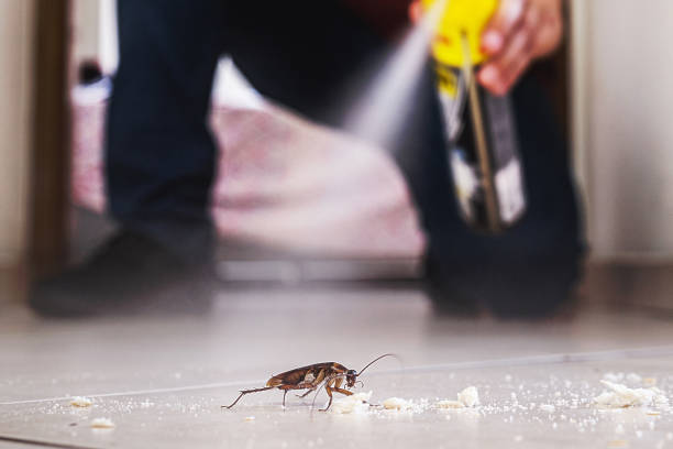 Best Emergency Pest Control  in Temperance, MI