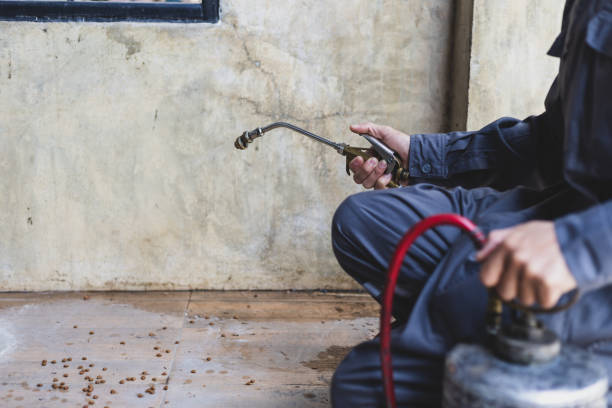 Best Ant Control Services  in Temperance, MI
